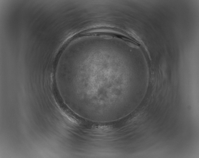 X0000051900063200507011518