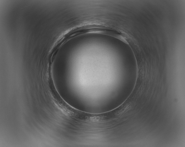 X0000051900064200507011518