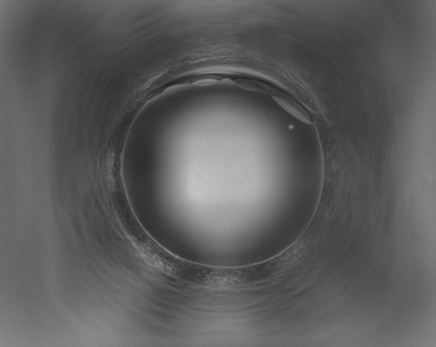 X0000051900066200507011518