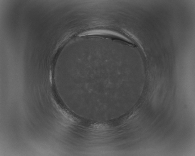X0000051900067200507011518