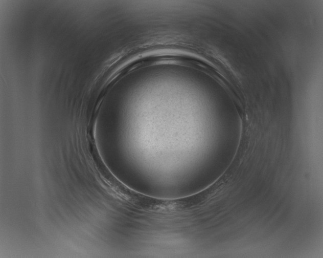X0000051900068200507011518