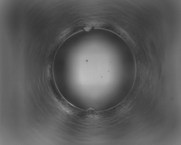 X0000051900071200507011518