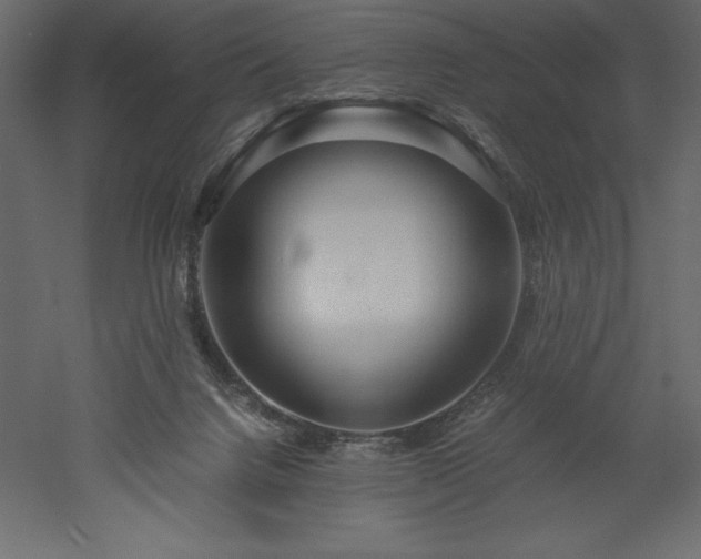 X0000051900072200507011518