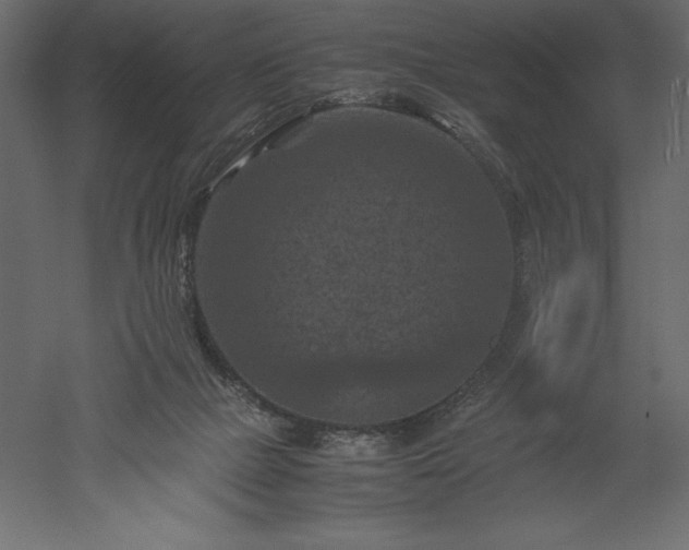X0000051900073200507011518