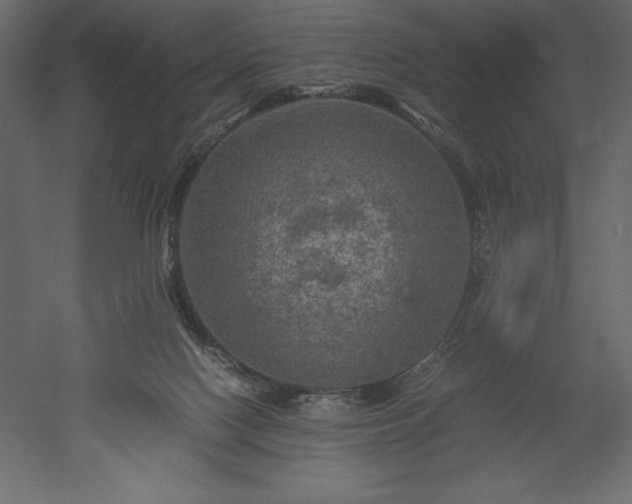 X0000051900074200507011518