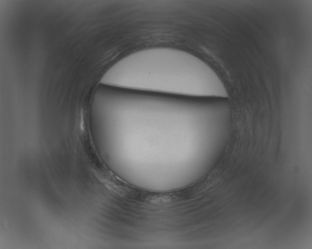 X0000051900075200507011518