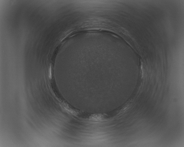 X0000051900076200507011518