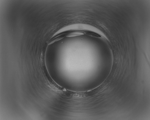 X0000051900077200507011518