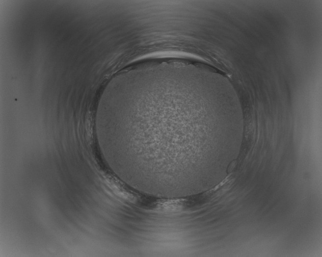 X0000051900078200507011518