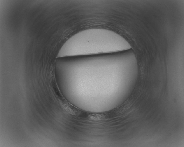 X0000051900079200507011518