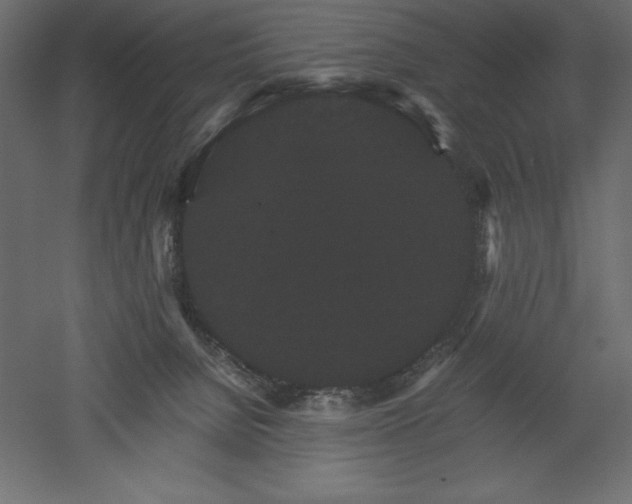 X0000051900080200507011518