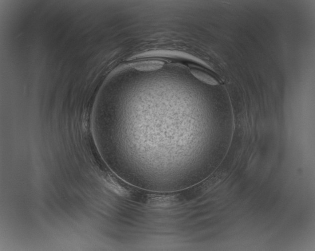 X0000051900081200507011518