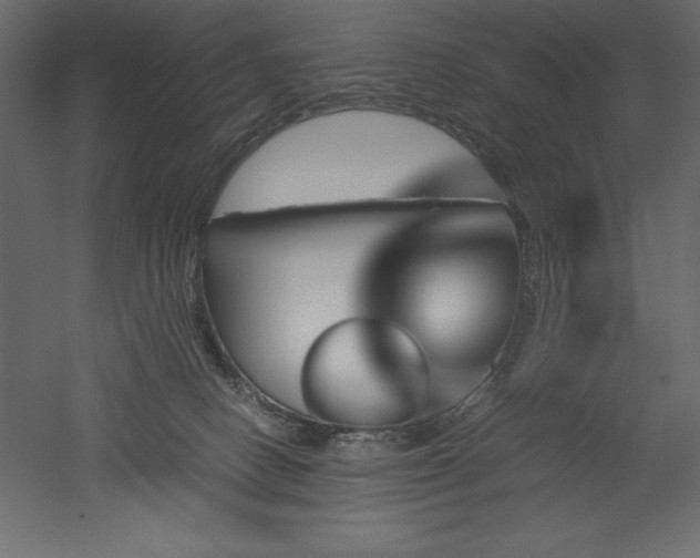 X0000051900082200507011518