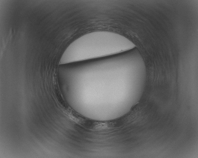 X0000051900083200507011518