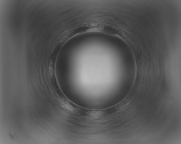 X0000051900085200507011518