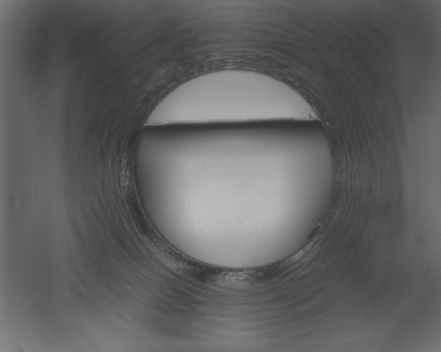 X0000051900086200507011518
