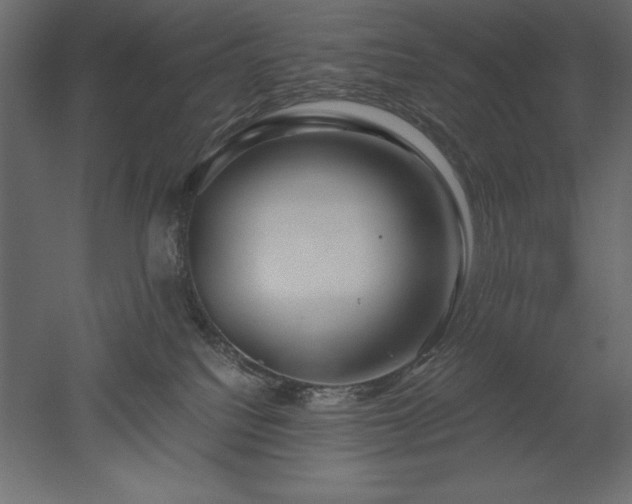 X0000051900088200507011518