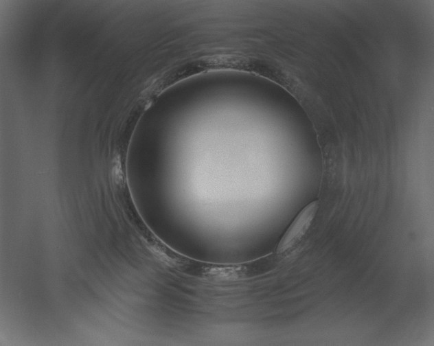 X0000051900089200507011518