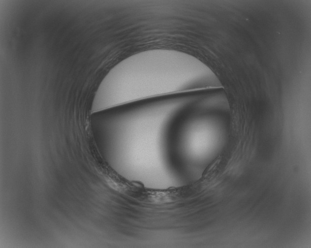X0000051900091200507011519