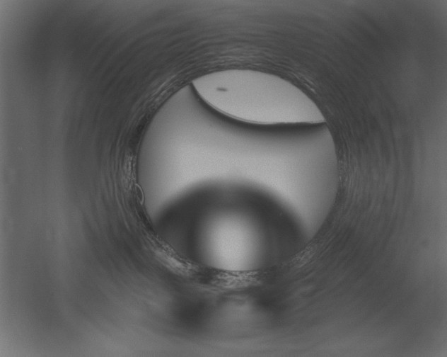 X0000051900093200507011519
