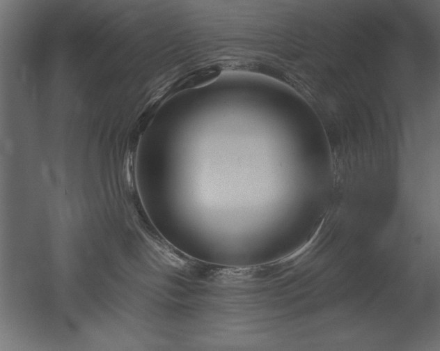 X0000051900094200507011519