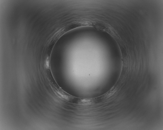 X0000051900095200507011519