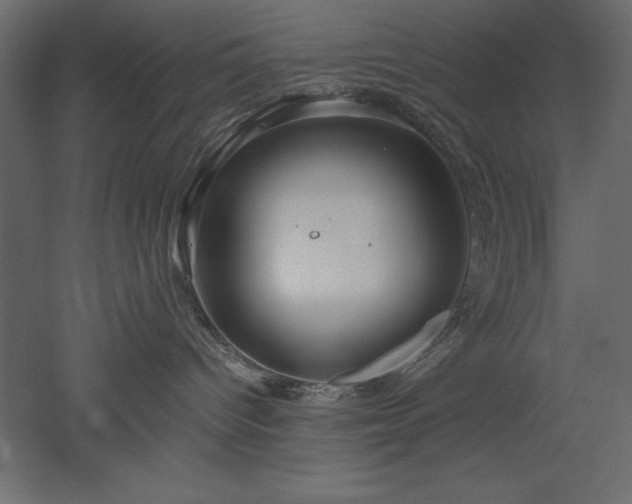 X0000051900096200507011519