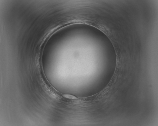 X0000051900098200507011518