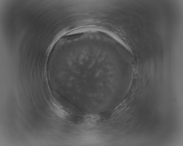 X0000051900099200507011518