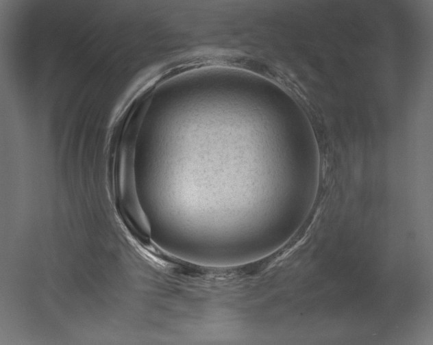 X0000051900101200507011518