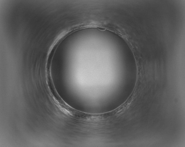 X0000051900102200507011518