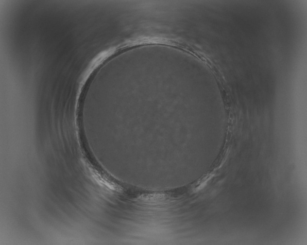 X0000051900104200507011518