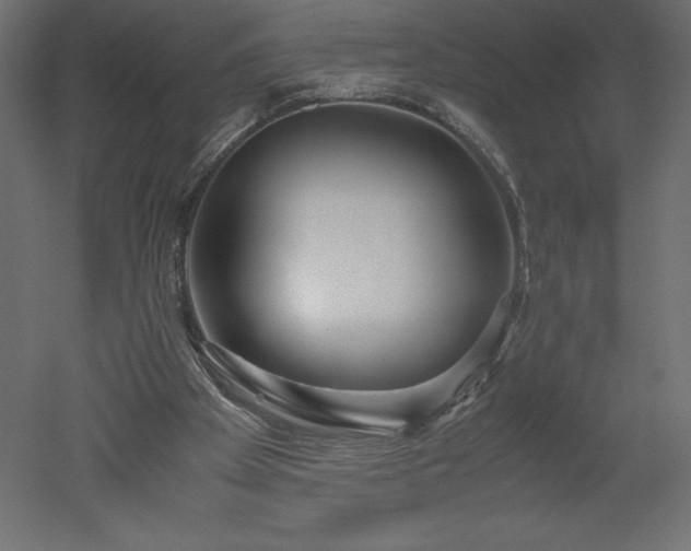X0000051900105200507011518