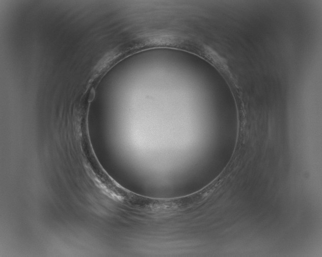 X0000051900106200507011518