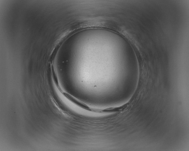X0000051900107200507011518