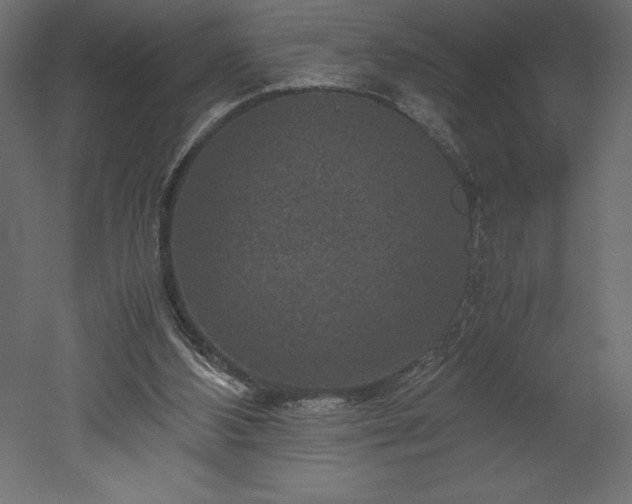 X0000051900108200507011518