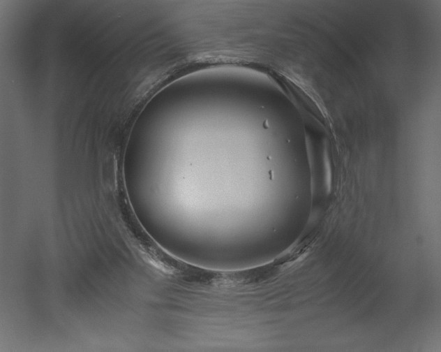 X0000051900109200507011518