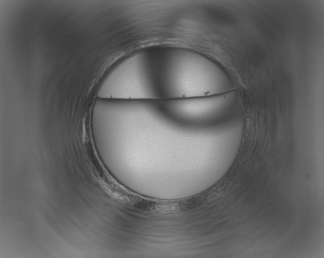 X0000051900110200507011518