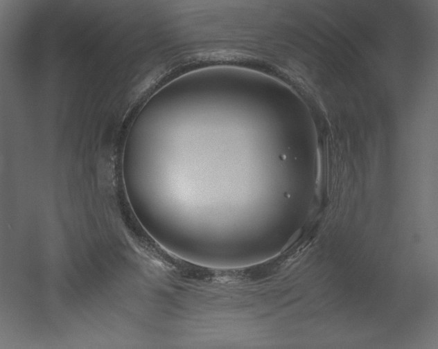 X0000051900111200507011518