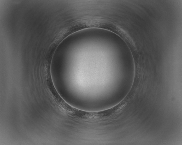 X0000051900113200507011517