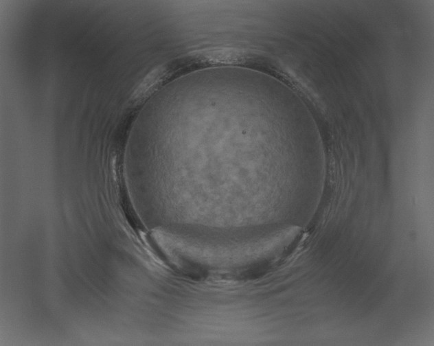 X0000051900117200507011517