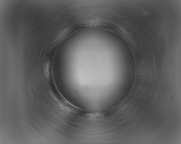 X0000051900118200507011517