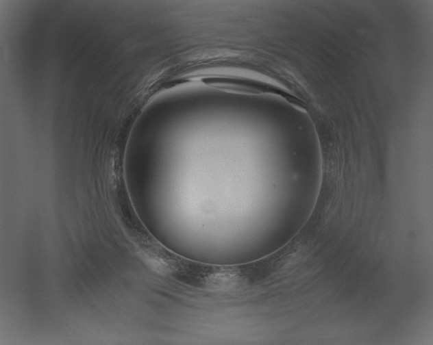 X0000051900119200507011517