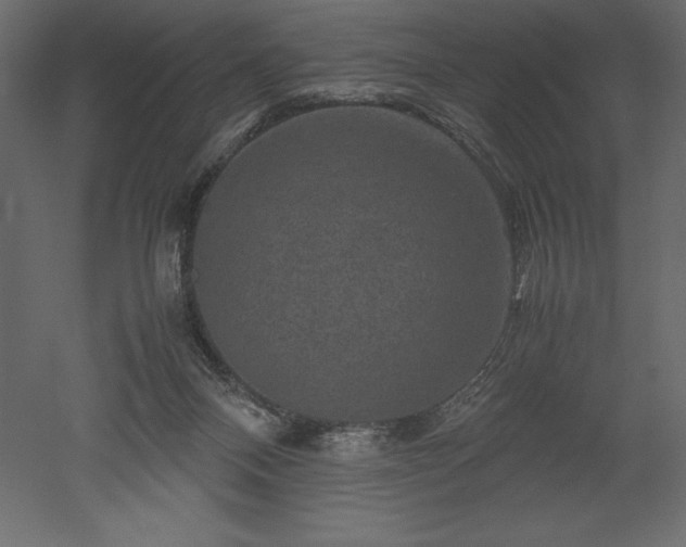 X0000051900120200507011517