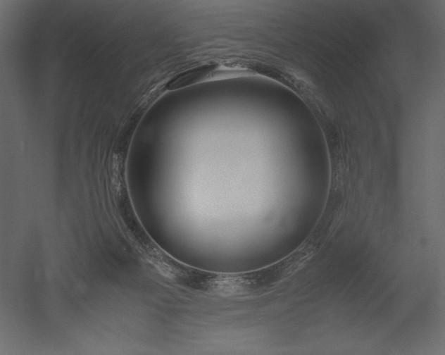 X0000051900121200507011517