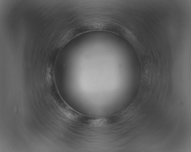 X0000051900122200507011517