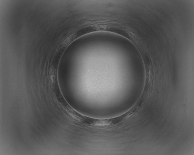 X0000051900125200507011517