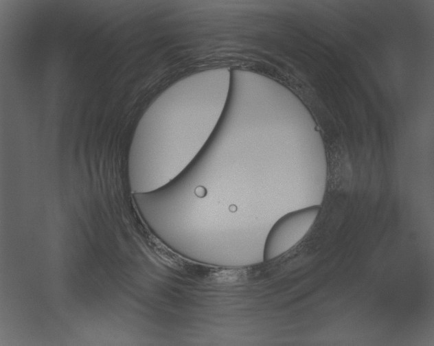 X0000051900126200507011517
