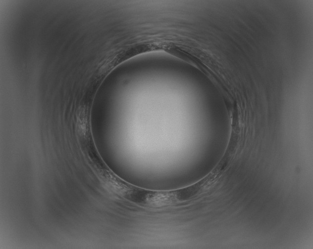 X0000051900129200507011517
