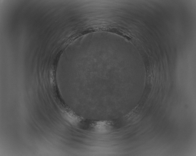 X0000051900130200507011517